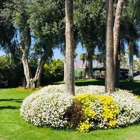 Bungalow Las Vegas Stars Beach